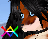 Willam666