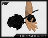 [NS] Black Roses M|F