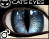 |SIN| Cat's Eye - Blue