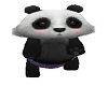 Oso Panda Nitro