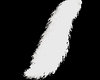 Yang Tail