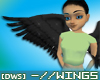 Black Starry Wings