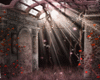 [TP] Gothic Garden V