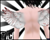 �. durtE dovE wingZ