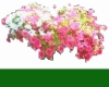 ~*MB-WildFlowers"~