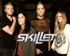 skillet2
