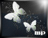 Butterfly Border (R)