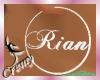 &curren;C&curren; Rian Hoop Earrings