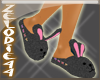 *z* Sexy Black Sleepers