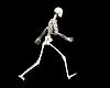 Skeleton paces