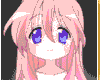 shy