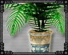 {D} Nouveau Plant 2
