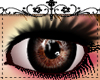 CircleLens|Black Ring
