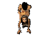 SEX POSE