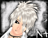 [*NT]Gazette-WH