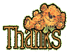 Bear(Thks)