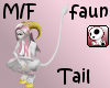Faunt Tail (M/f)