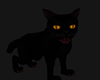 Scrag The Black Cat