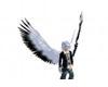 Black Tipped Angel Wings
