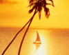 SAILING