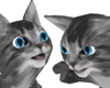 Shoulder Kitty (Female)