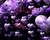 Hearts Love