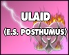 1. Ulaid