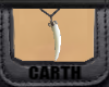 Wolf Fang Necklace