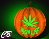CB HighLife Pumpkin