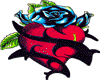Heart Of Thorns