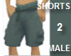 Newest Male Shorts 2