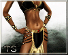 *TS* AMAZONA