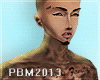 PBM Appreciation Skin