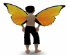 Orange Wings