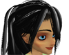Silver & Black Ponytail