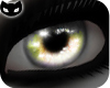 [SIN] Luna Eyes Green