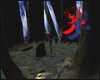 deep forest