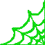 green spider web2