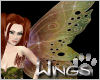 Caelia Fairy Wings By OxSugarBearxO