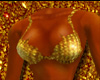 Tresor swimsuit