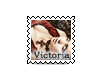 VF Collection Nr10