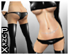PX Latex v179