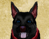 Shepard Dog + 16 Sound