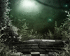 [TP] Gothic Garden XVII
