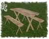 SC~Camping Picnic Table