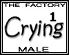 TF Crying Avatar 1