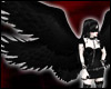 Black Demon Wings/6wings