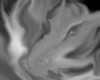 BLack Dragon