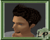 [LP]MidNite Brn Spikes