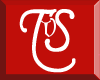 (TVS) Silver name collar